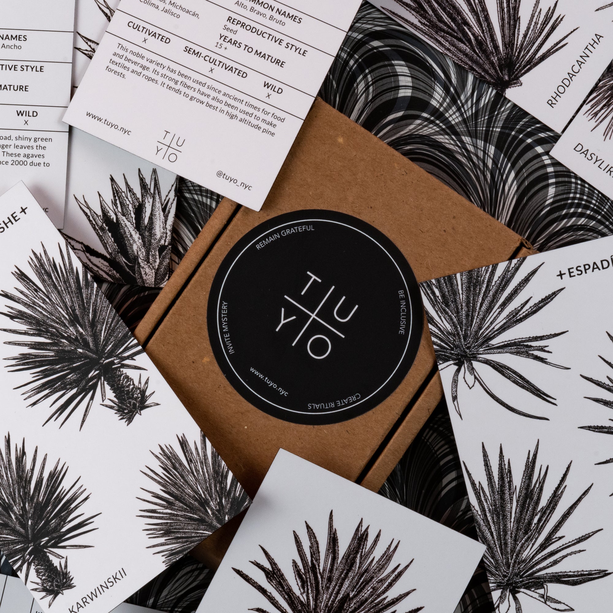 Printed agave id cards featuring the names and info for 14 different agave plants used to make mezcal.