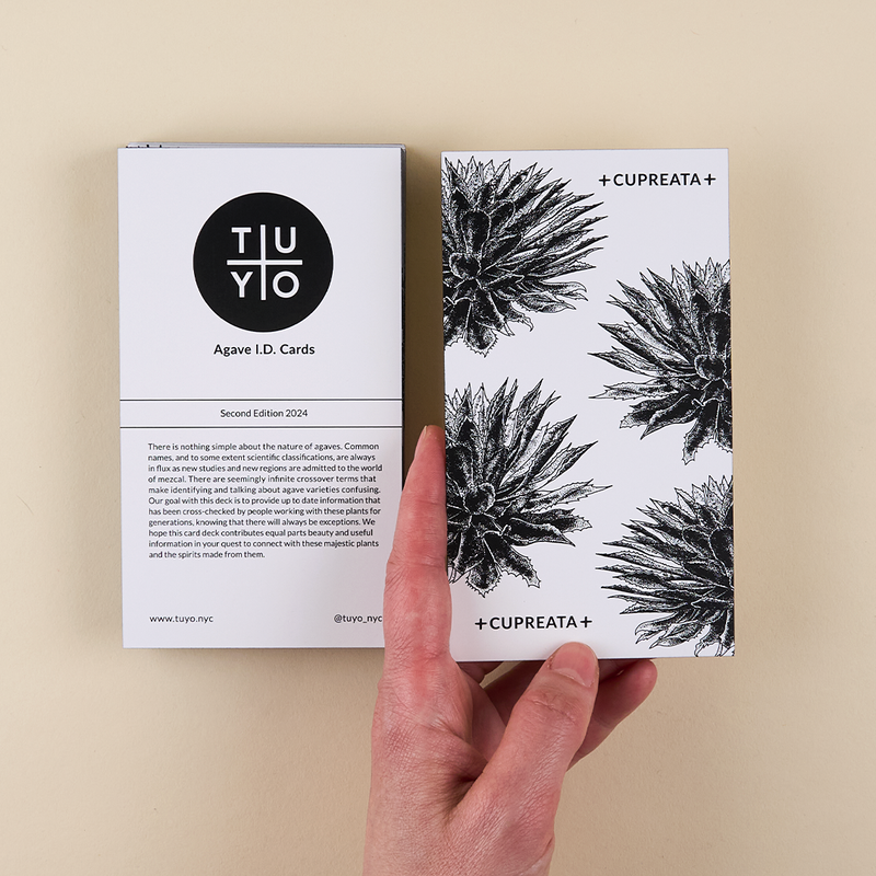 Printed agave id cards featuring the names and info for 16 different agave plants used to make mezcal.