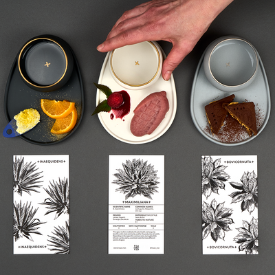 AGAVE ID CARDS FOR EDUCATION AND MEZCAL TASTING