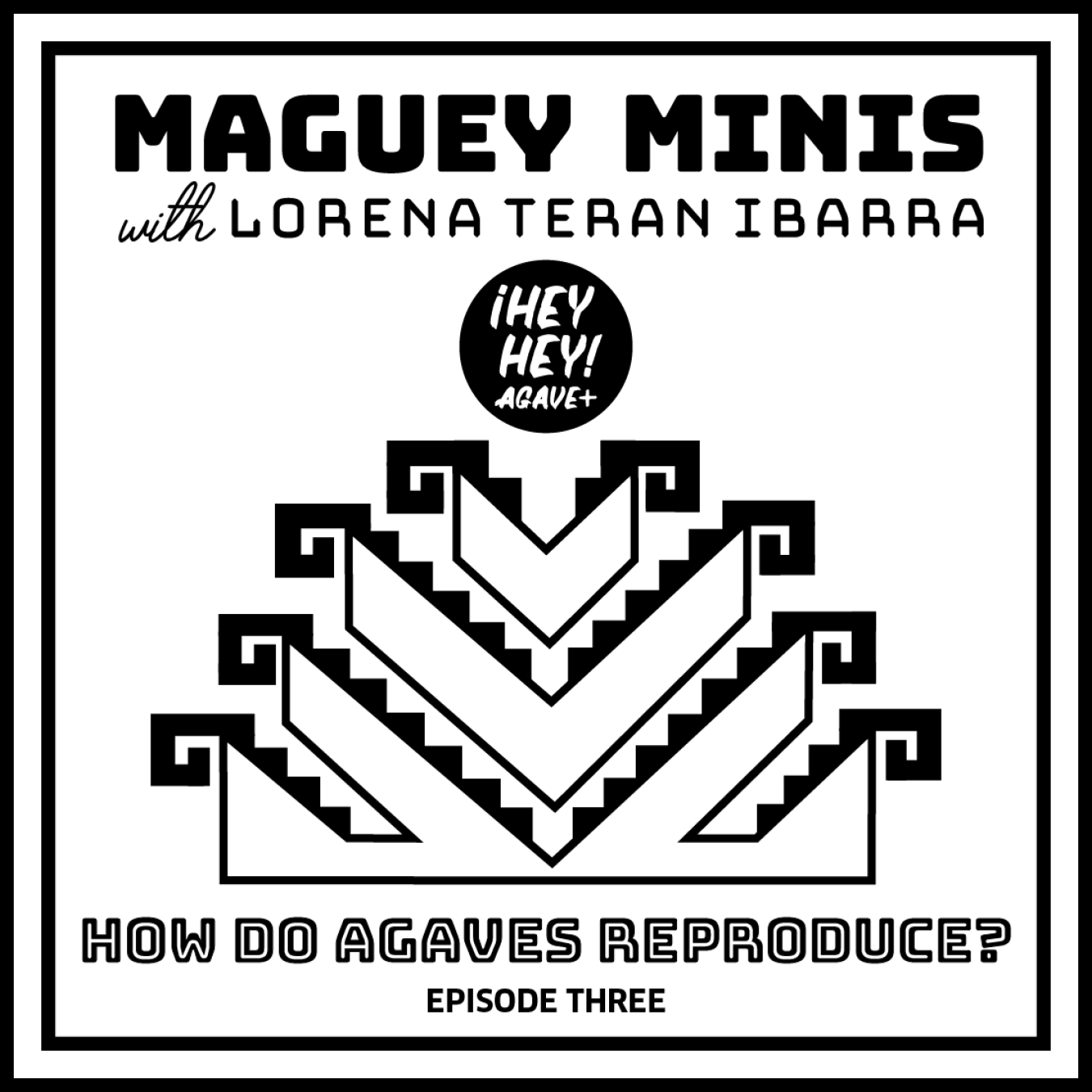 Maguey Minis + Episode Three