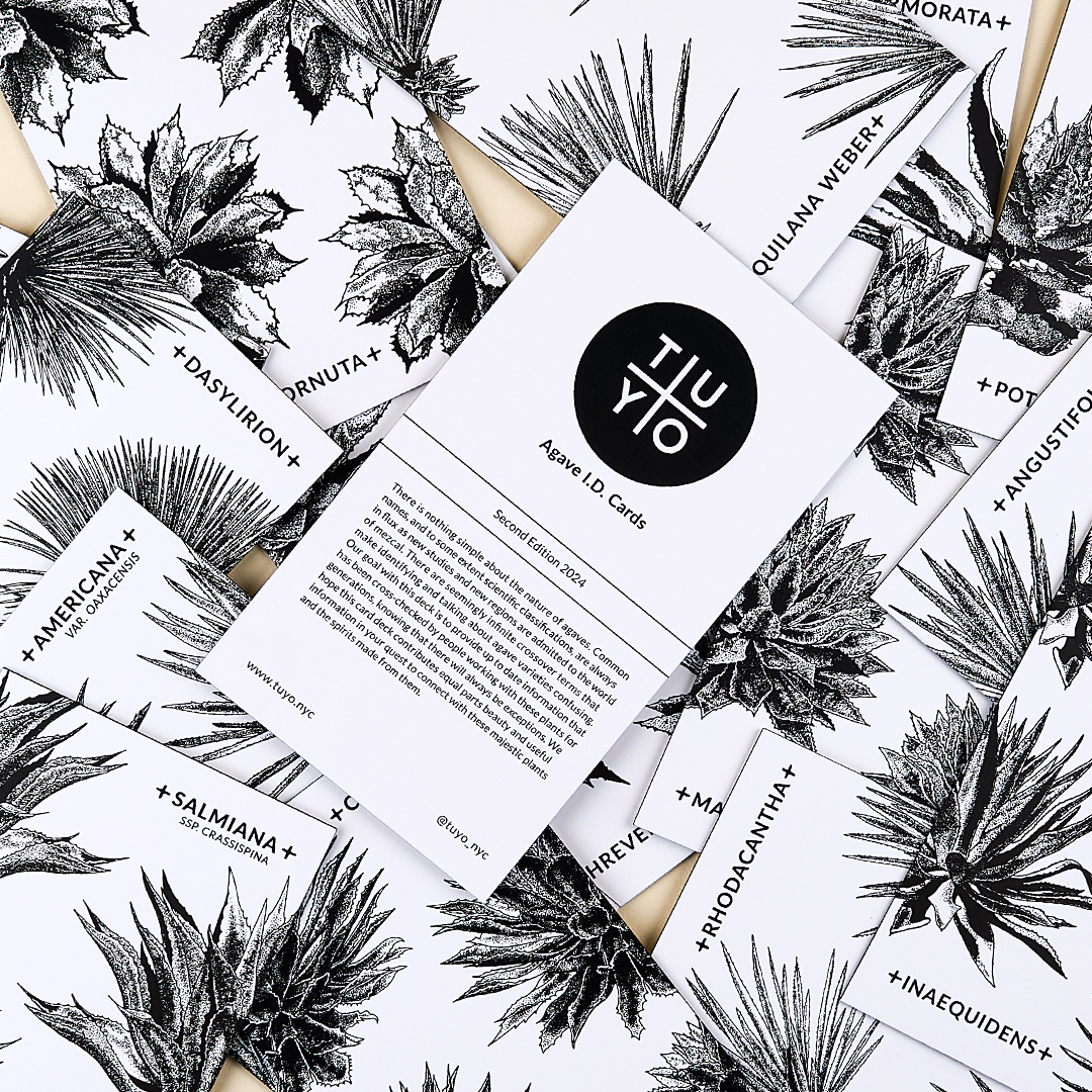 Printed agave id cards featuring the names and info for 16 different agave plants used to make mezcal.